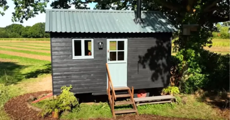 Young man gives tour of ‘ingenious’ tiny home he built for just $6,000