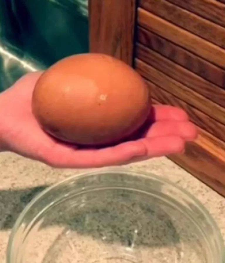 He went to the hens’ nest to get an egg, but had a huge surprise