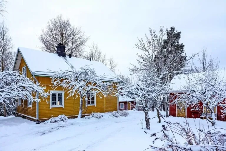«Comfort overload!» One couple showed their tiny rural house and now everyone dreams of living there