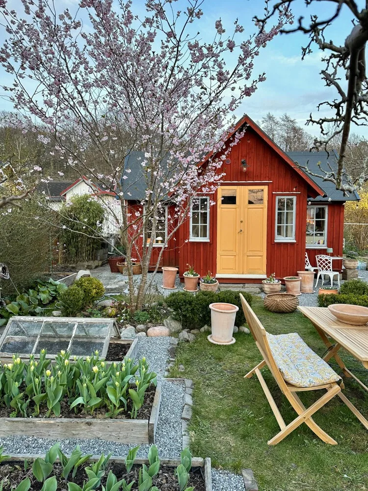 «27 square meters of comfort!» A Swedish man showed his tiny house and now everyone has a dream to live here