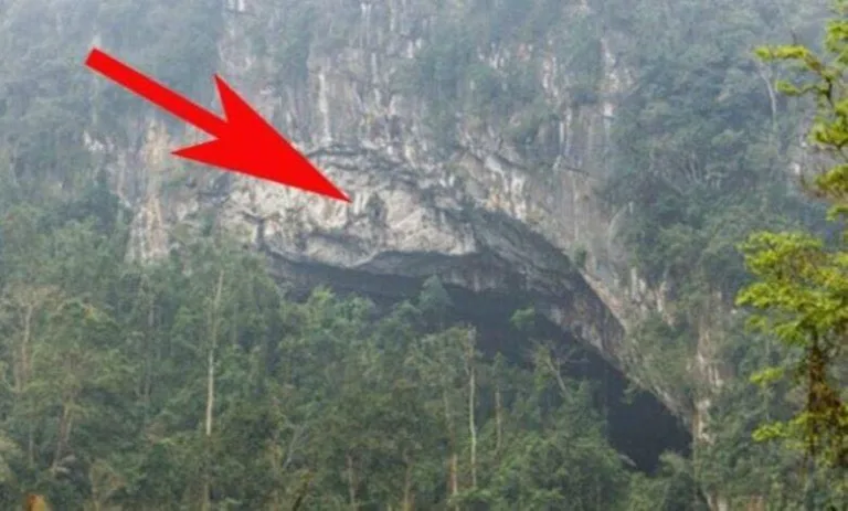 A simple farmer stumbled onto an undiscovered cave!