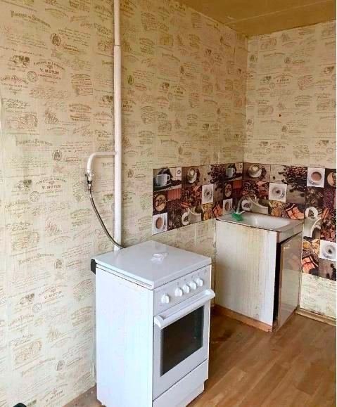 Son buys an ugly old apartment for pennies and makes it a dream place to live for his mother