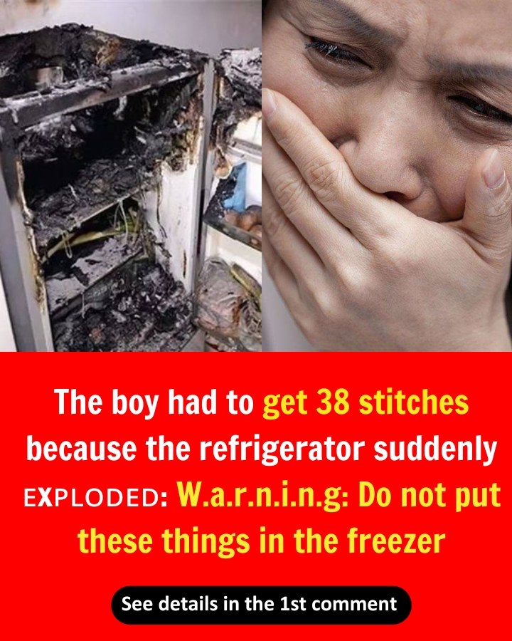 The boy had to get 38 stitches because the refrigerator suddenly ᴇxᴘʟᴏᴅᴇᴅ: W.a.r.n.i.n.g: Do not put these things in the freezer