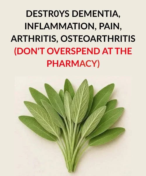 Destroys Dementia, Inflammation, Pain, Arthritis, Osteoarthritis