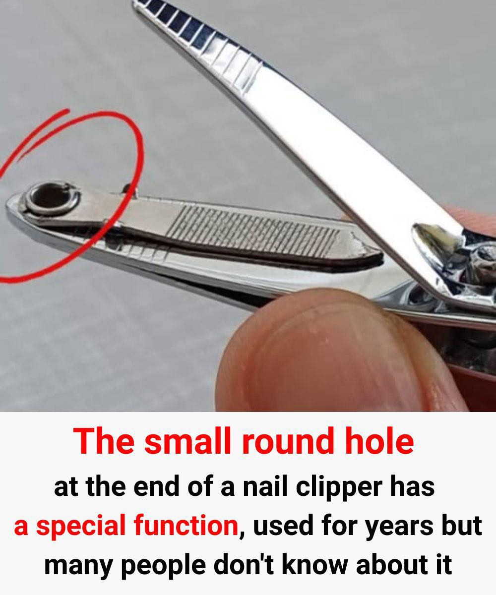 Why That Small Round Hole on Your Nail Clipper Matters – Especially for Older Adults