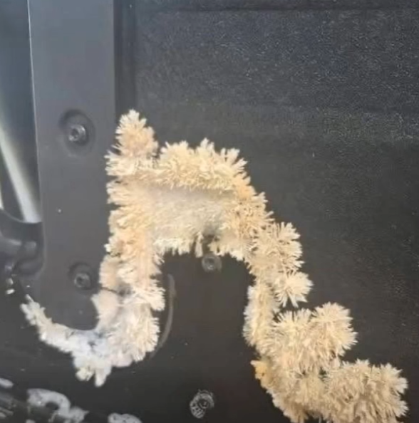 A Hidden Danger Under My Car Seat Made Me Rethink Vehicle Safety