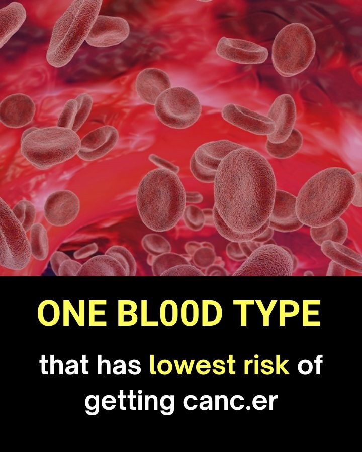 Doctors reveal the one bl00d type which has the lowest risk of canc3r