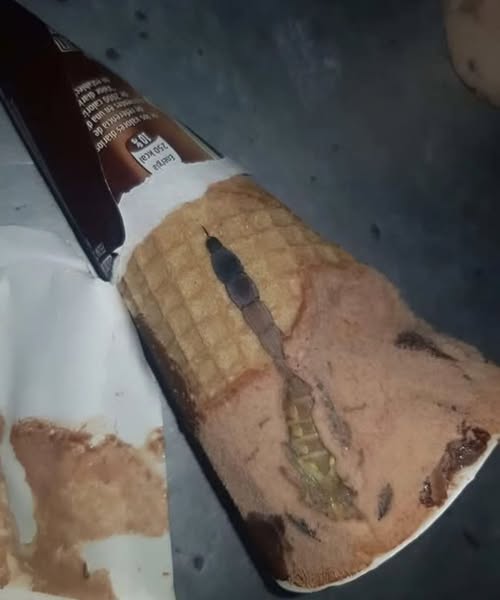 She Found Something Strange Inside Her Ice Cream