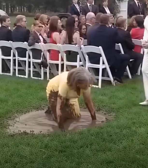 My Mother-in-Law Humiliated My Mom at Our Wedding — but Karma Stepped In Moments Later