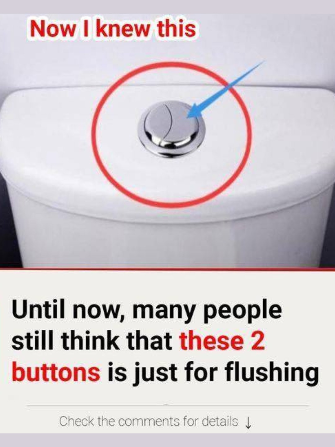 Many People Still Think Those 2 Buttons Are Just for Flushing — Here’s Why They’re Actually a Secret to Saving Water & Money
