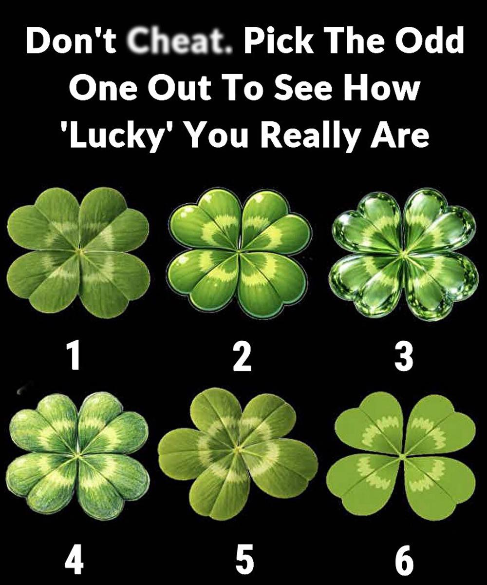 Don’t Ch:eat. Pick The Odd One Out To See How ‘Lucky’ You Really Are