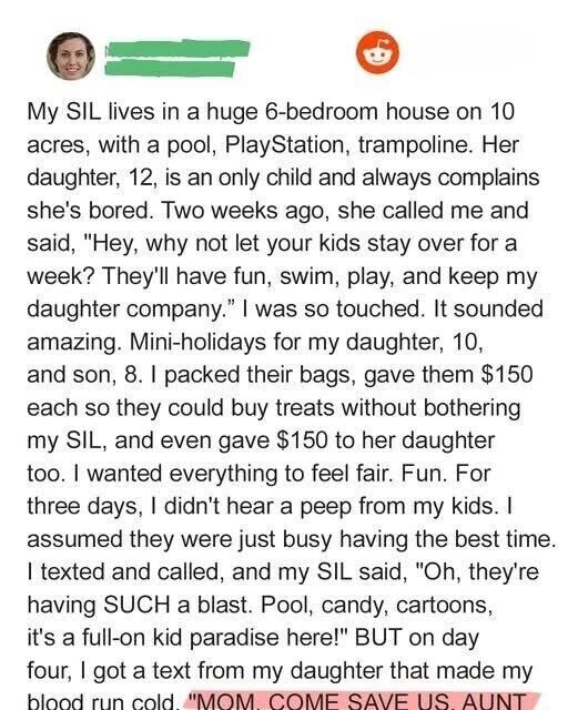 My SIL Invited My Kids to Her Big House With a Pool for the Holidays – When I Showed Up Unannounced, I Went Pale