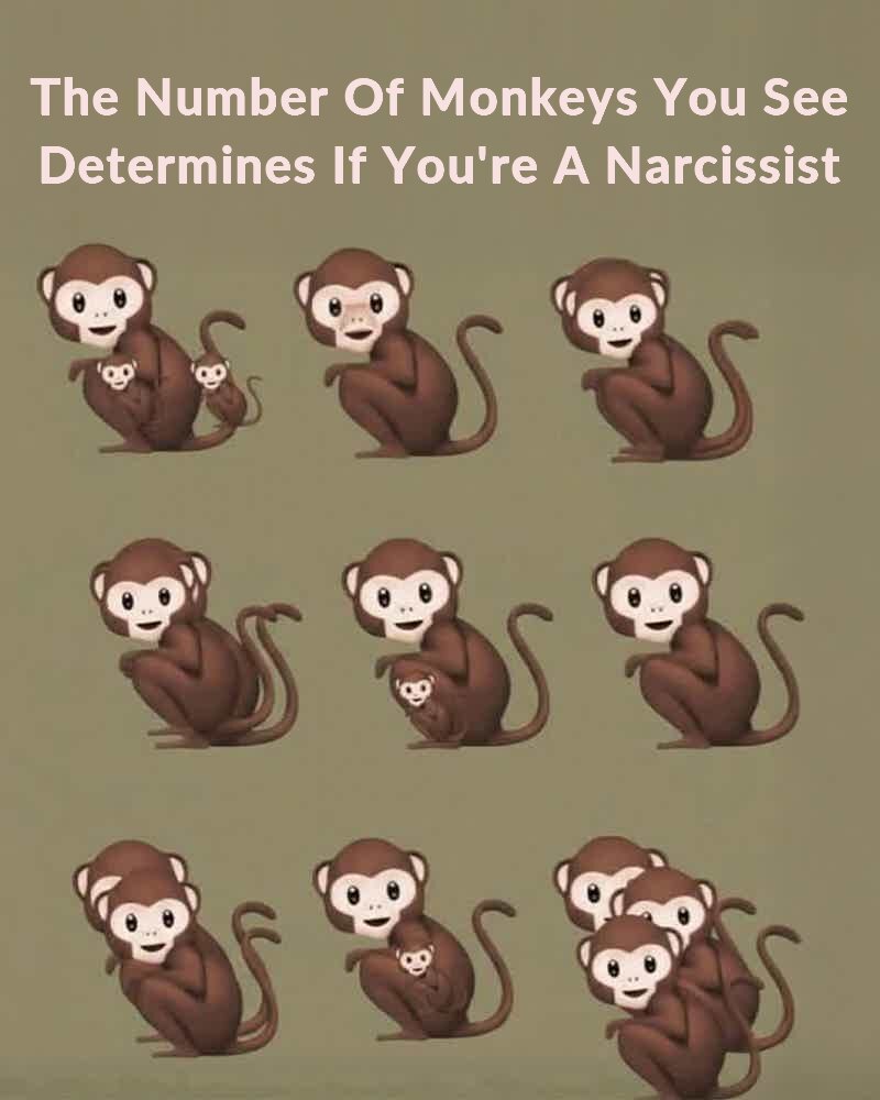 The Number Of Monkeys You See Determines If You’re A Narcissist