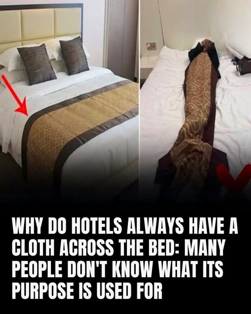What’s the Purpose of the Fabric Strip Across Hotel Beds? (It’s Not Just for Looks!)