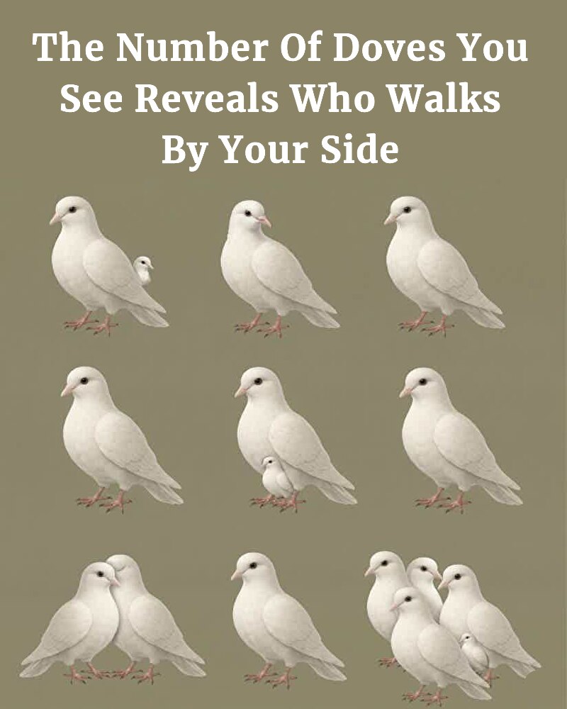 The Number Of Doves You See Reveals Who Walks By Your Side