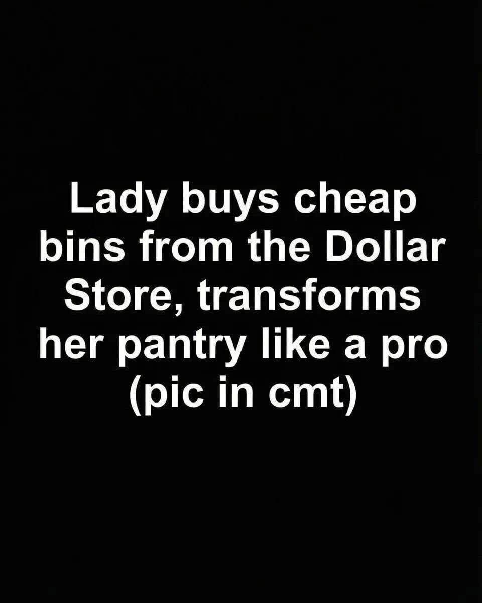 Budget-Friendly DIY Pantry Organization Using Dollar Store Bins as a Practical, Stylish, and Long-Term Solution for Creating a Calm, Efficient, and Visually Cohesive Kitchen Storage System Without High Costs or Professional Help