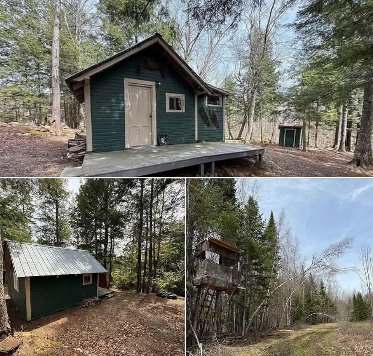 Off-Grid Cabin on 71 Acres in Canterbury, NB – Forest Retreat