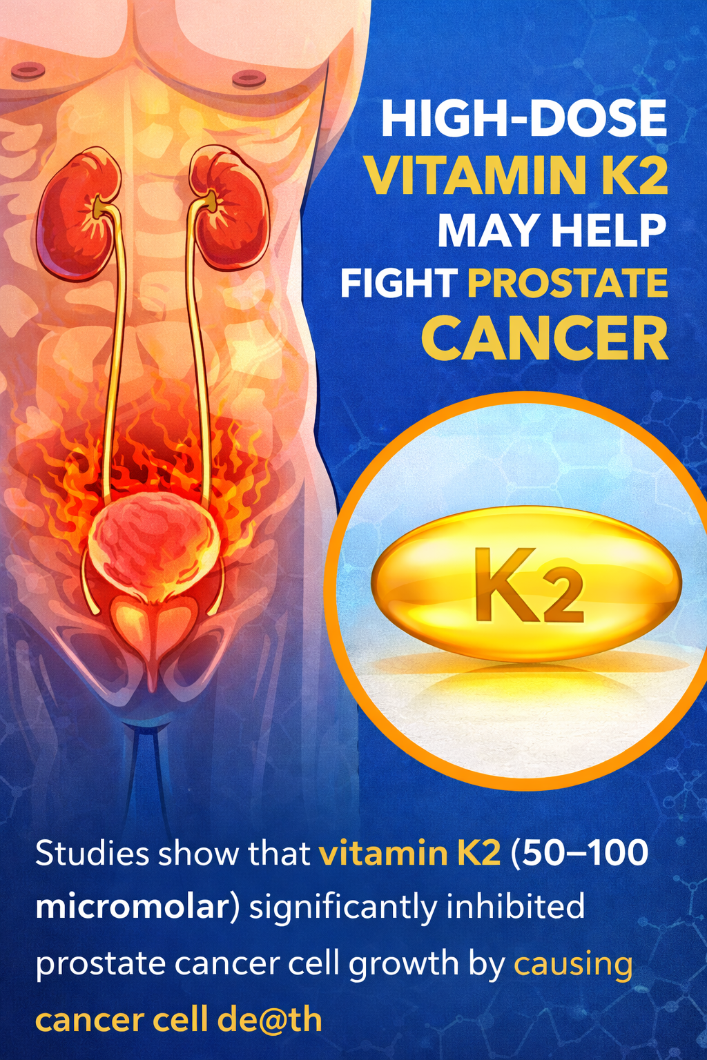 New Study Reveals Vitamin K2 Could Slow Prostate Cancer Growth